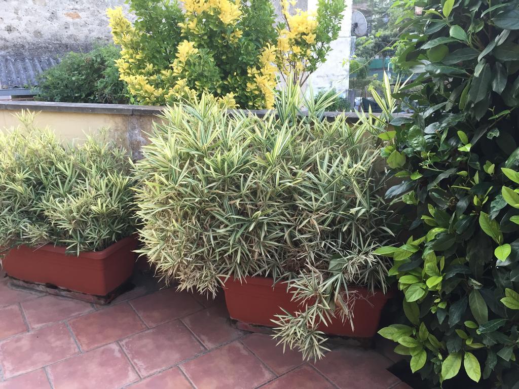 A Casa Di Grace Bed & Breakfast Cassino Exterior photo